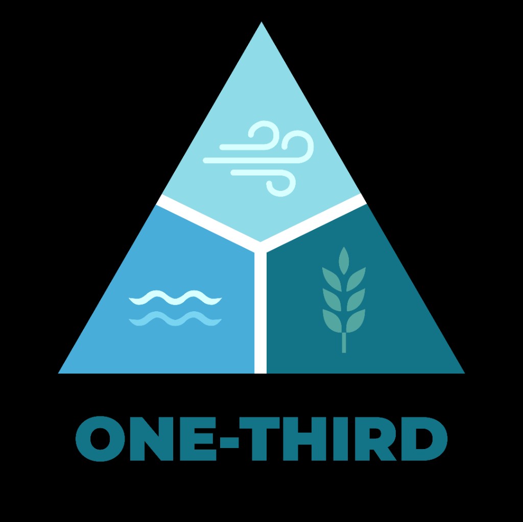 ONE-THIRD logo — wind, water, and growth